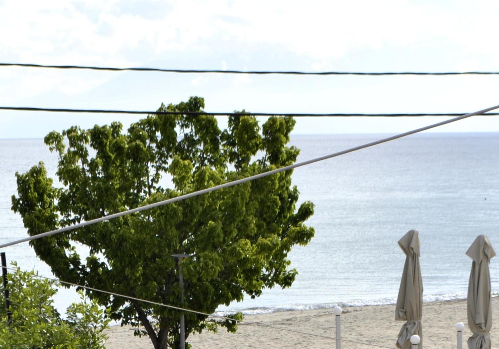 Seaside Apartment In Vergia Chalkidiki المظهر الخارجي الصورة
